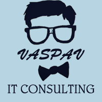 VasPav IT Consulting logo